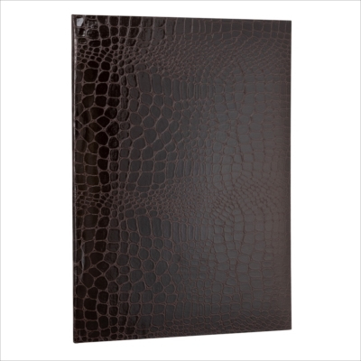 ナカバヤシ 証書ファイル Cタイプ A4 紙製クロス・クロコダイルツヤ ブラウン FSPT-A4C-BR