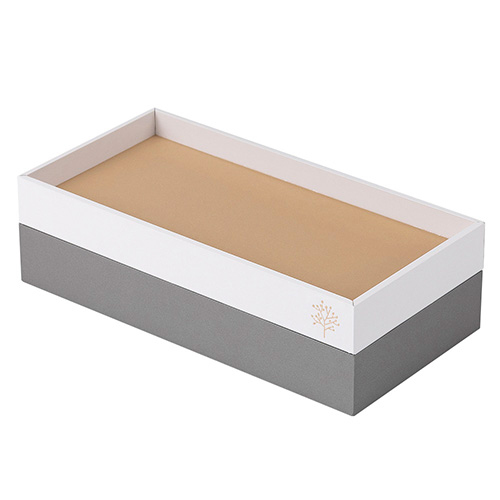 ナカバヤシ ココバコ トレータイプ ベージュ KBK-301-BE