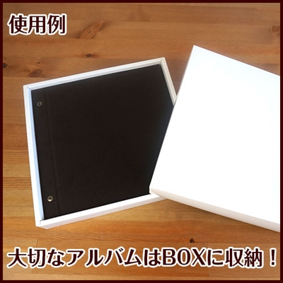 ナカバヤシ ネット販売限定品「アルバム専用BOX デミサイズ」IT-BOX-D