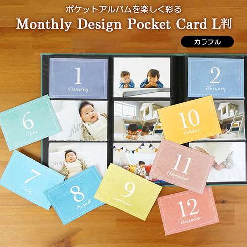 【WEB限定品】アルバム マンスリー デザイン ポケットカード L判 15枚入り IT-DPCM-L-02 カラフル