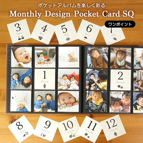 【WEB限定品】アルバム マンスリー デザイン ポケットカード ましかく判 15枚入り IT-DPCM-SQ-01 ワンポイント