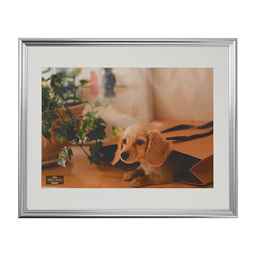 ナカバヤシ 樹脂製写真額 フォトフレーム A3 シルバー F-SP-113-SV