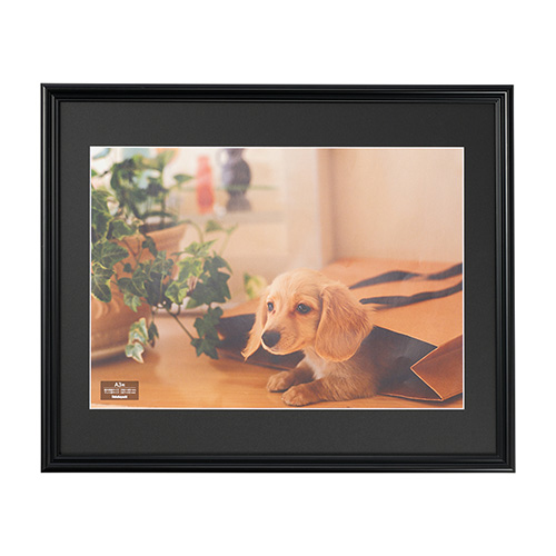 ナカバヤシ 樹脂製写真額 フォトフレーム A3 ブラック F-SP-113-D