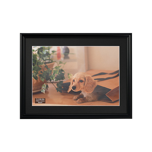 ナカバヤシ 樹脂製写真額 フォトフレーム W四ツ切 ブラック F-SP-112-D