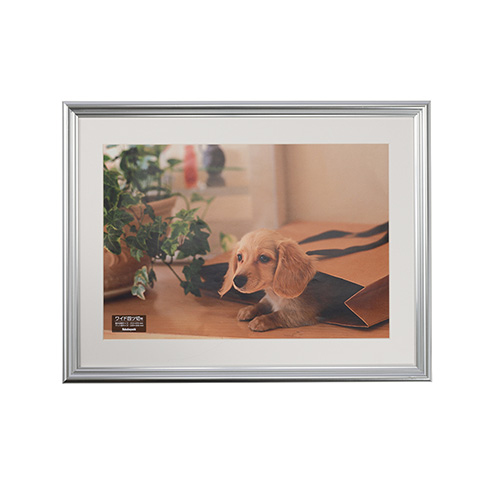 ナカバヤシ 樹脂製写真額 フォトフレーム W四ツ切 シルバー F-SP-112-SV