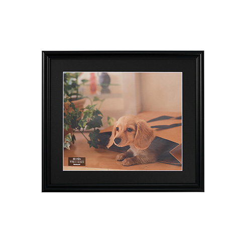 ナカバヤシ 樹脂製写真額 フォトフレーム 四ツ切 ブラック F-SP-111-D