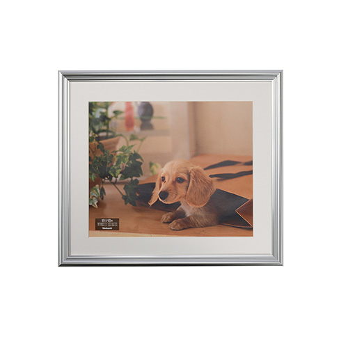 ナカバヤシ 樹脂製写真額 フォトフレーム 四ツ切 シルバー F-SP-111-SV