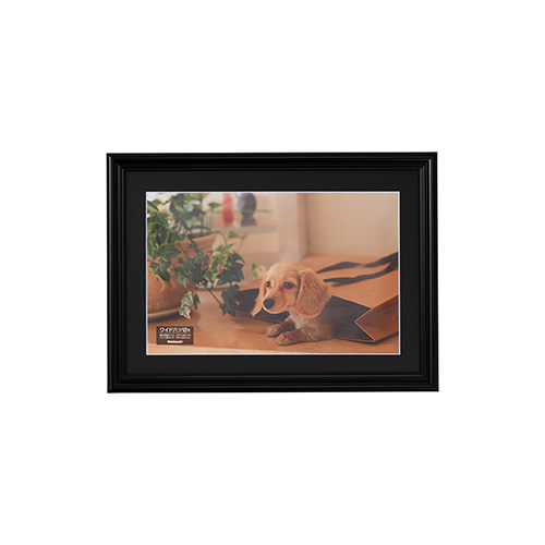 ナカバヤシ 樹脂製写真額 フォトフレーム W六ツ切 ブラック F-SP-109-D