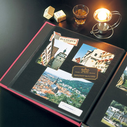 ナカバヤシ フエルアルバムDigio インテグレーション LDH-1001-B