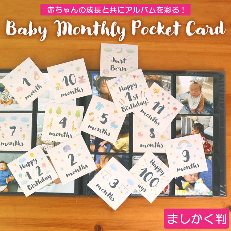 【WEB限定品】アルバム ベビー マンスリー ポケットカード マンスリーカード 月齢カード ましかく判 14枚入り IT-DPCM-SQ-05【ましかく スクエア ポケットアルバム 手作り デコレーション デザイン コメント メッセージ かわいい Anniversary】#205#