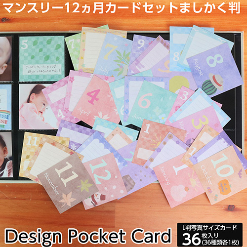 【WEB限定品】アルバム マンスリー デザインポケットカード ましかくサイズ/04 36枚 IT-DPCM-SQ-04【ポスト投函1】