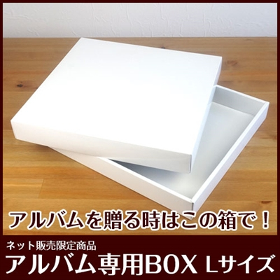 ナカバヤシ ネット販売限定品「アルバム専用BOX Lサイズ」IT-BOX-L
