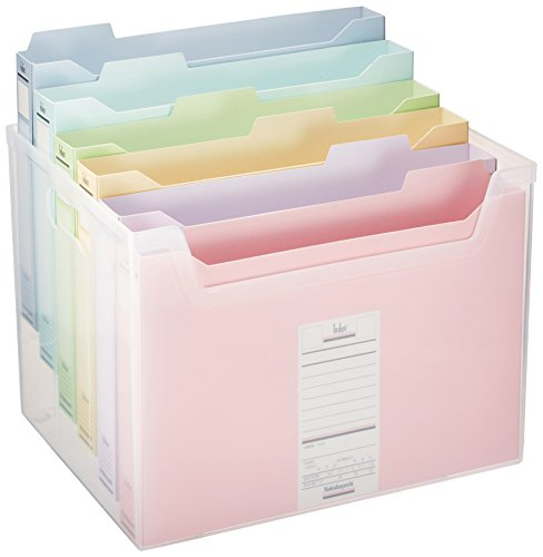 ナカバヤシ インデックスファイルボックス フボI-F3C