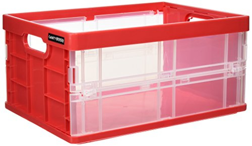 ナカバヤシ キャパティ フレックスコンテナ ミニ CFC-301-R レッド