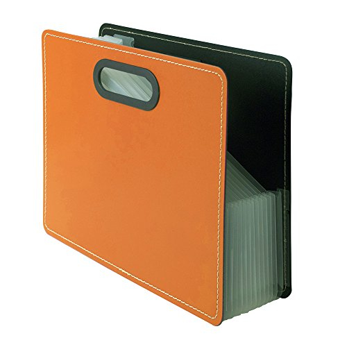 ナカバヤシ IROKATU ドキュメントファイル・発泡PP製/A4/ヨコ型 DF-A401E-AO アプリコットオレンジ