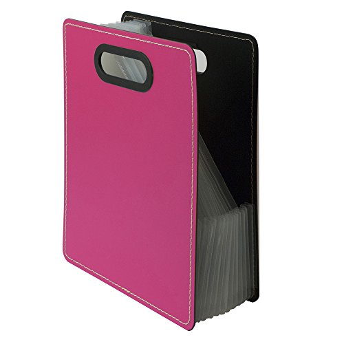 ナカバヤシ IROKATU ドキュメントファイル・発泡PP製/A4/タテ型 DF-A401S-BP ベリーピンク