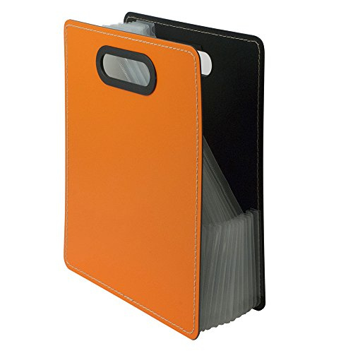 ナカバヤシ IROKATU ドキュメントファイル・発泡PP製/A4/タテ型 DF-A401S-AO アプリコットオレンジ