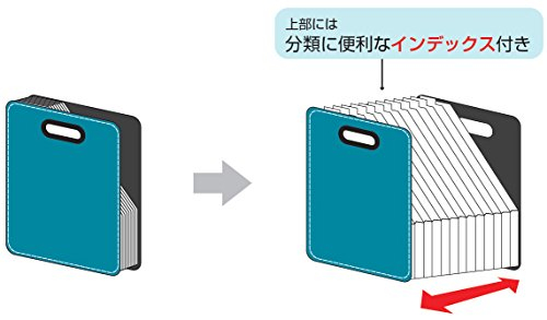 ナカバヤシ IROKATU ドキュメントファイル・発泡PP製/A4/タテ型 DF-A401S-AO アプリコットオレンジ