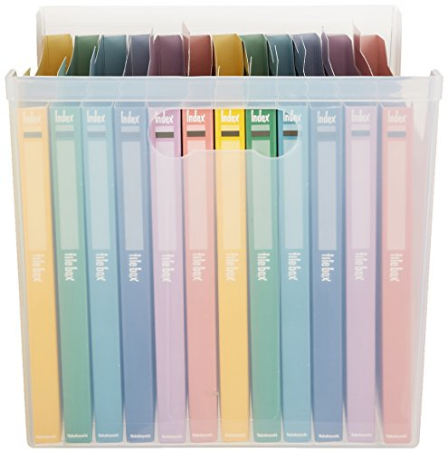 ナカバヤシ インデックスファイルボックス フボI-F4C