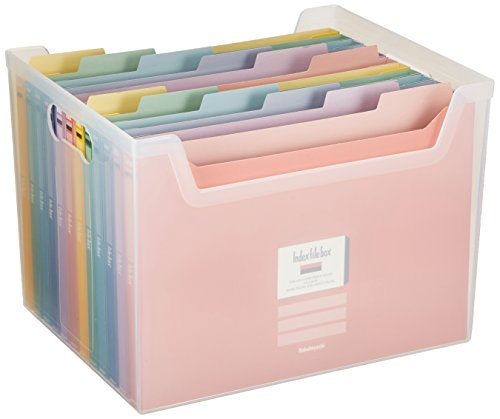 ナカバヤシ インデックスファイルボックス フボI-F4C