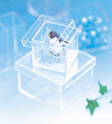 ナカバヤシ キャパティ ソリッド スクエア/オープンタイプ CSD-K1 クリア