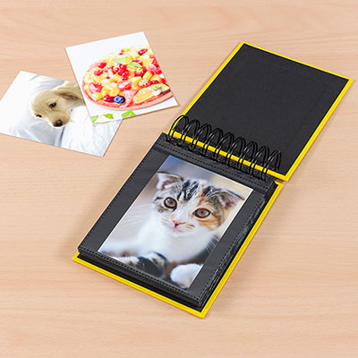 アルバム ナカバヤシ フォトランク フレームケースアルバム タテ型 L判1段60枚 ポケットアルバム A-FTPT-301-R レッド