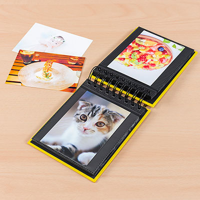 アルバム ナカバヤシ フォトランク フレームケースアルバム タテ型 L判1段60枚 ポケットアルバム A-FTPT-301-R レッド