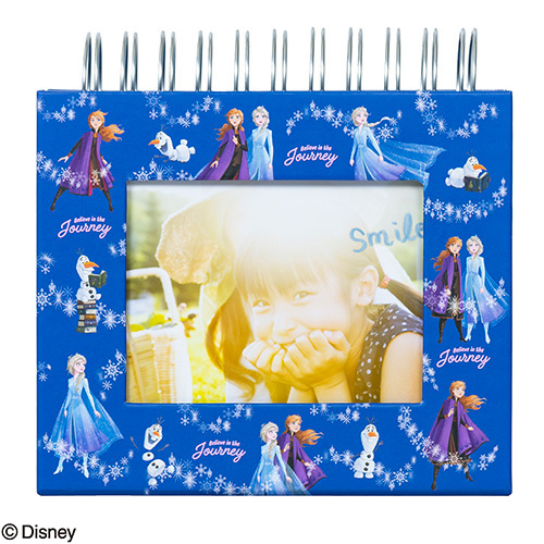 ナカバヤシ ディズニーキャラクター フレームケースアルバム L判1段 アナと雪の女王2 A-FTPC-205-1