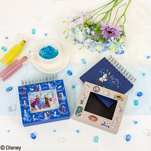 ナカバヤシ ディズニーキャラクター フレームケースアルバム L判1段 アナと雪の女王2 A-FTPC-205-1