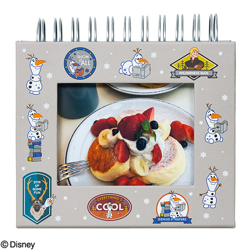 ナカバヤシ ディズニーキャラクター フレームケースアルバム L判1段 アナと雪の女王2 A-FTPC-205-2