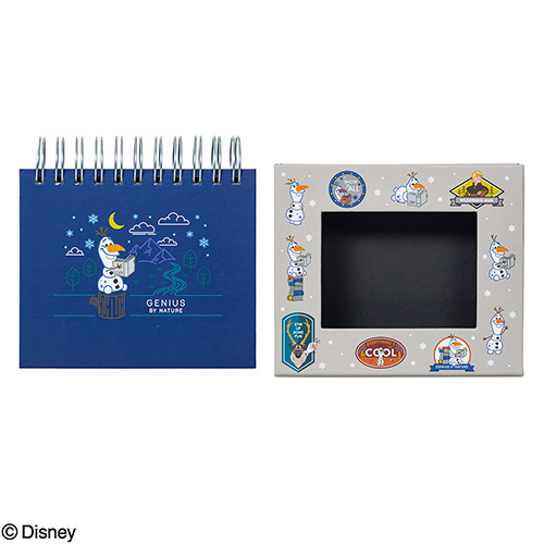 ナカバヤシ ディズニーキャラクター フレームケースアルバム L判1段 アナと雪の女王2 A-FTPC-205-2