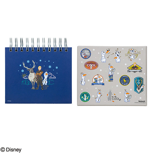 ナカバヤシ ディズニーキャラクター フレームケースアルバム L判1段 アナと雪の女王2 A-FTPC-205-2