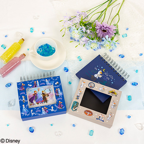 ナカバヤシ ディズニーキャラクター フレームケースアルバム L判1段 アナと雪の女王2 A-FTPC-205-2