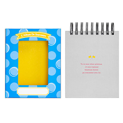 アルバム ナカバヤシ フォトランク フレームケースアルバム タテ型 L判1段60枚 ポケットアルバム A-FTPT-301-B ブルー