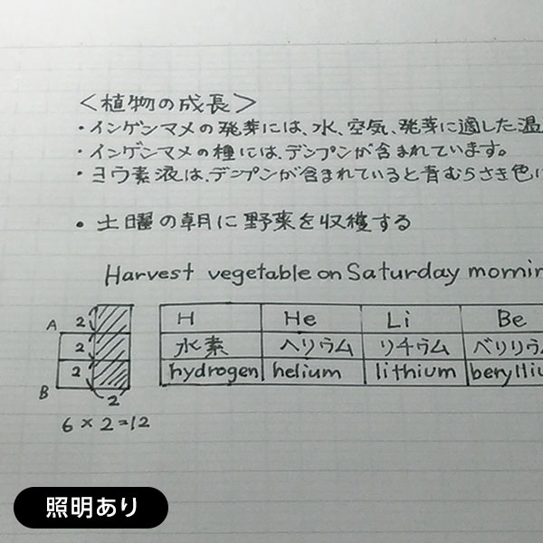 ナカバヤシ ロジカル・Tラインノート/B5 B罫/6mm NB505B