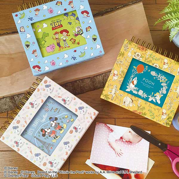 ナカバヤシ ディズニーキャラクター フレームケースアルバム A-FTPC-206-1 ミッキー&ミニー