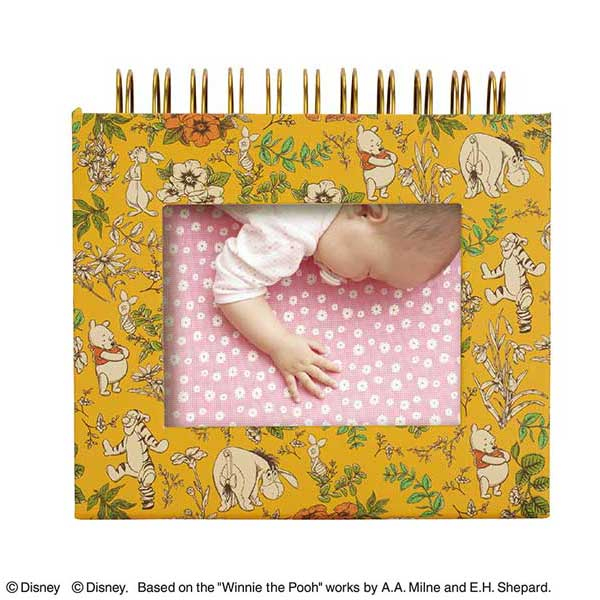 ナカバヤシ ディズニーキャラクター フレームケースアルバム A-FTPC-206-2 くまのプーさん