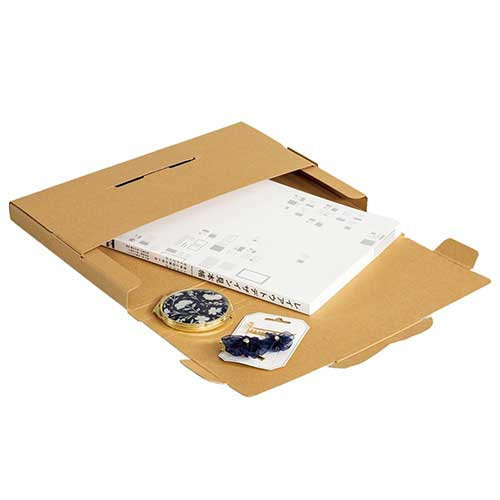 ナカバヤシ 段ボールボックス L 5枚入り 厚さゲージ付 NDBX-L