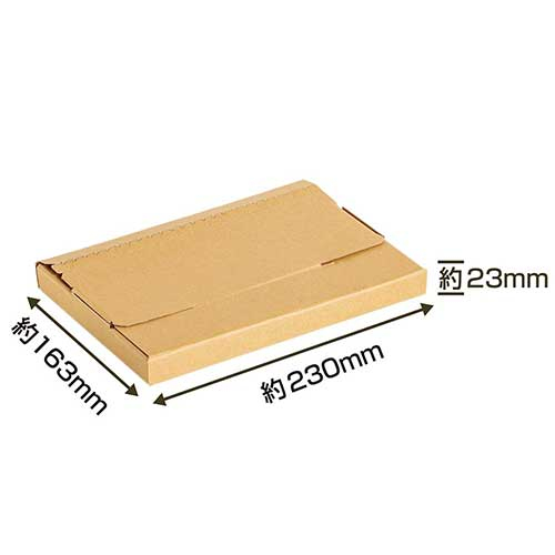 ナカバヤシ 段ボールボックス S 5枚入り 厚さゲージ付 NDBX-S