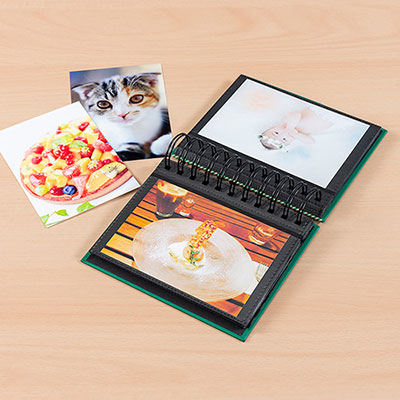 アルバム ナカバヤシ フォトランク フレームケースアルバム L判1段60枚 ポケットアルバム A-FTPC-102-G グリーン