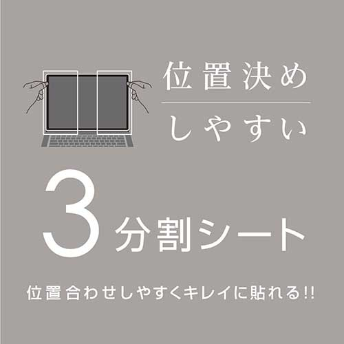 Surface Go2 Surface Go 対応液晶保護フィルム 光沢・指紋防止 〔抗菌加工〕 TBF-SFG20FLS (tm)