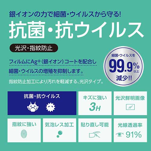 ナカバヤシ Switch Lite用 抗菌・抗ウイルスフィルム GAF-SWLFLKAV (tm)