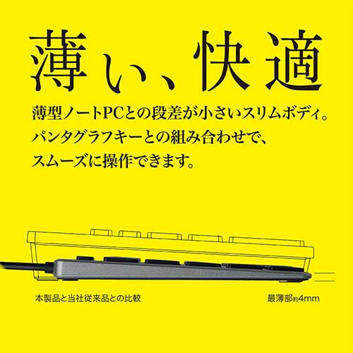 USB有線薄型テンキーボード/グレー TNK-SU231GY (tm)