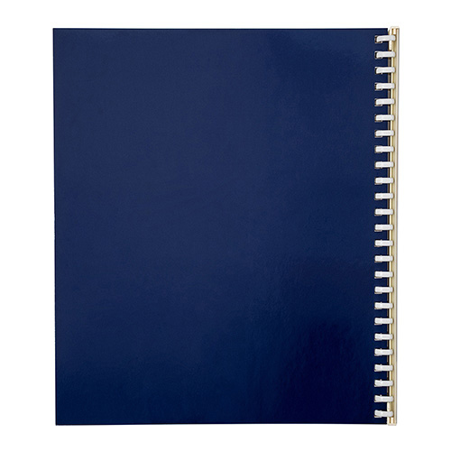 ナカバヤシ ライトアルバム ジムシリーズ 15R アオ アL-JHO2-91-B