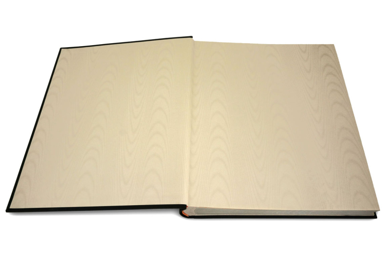 【※別注品】【☆受注生産品】【ナカバヤシ ネットオリジナル】記念品 高級アルバム OUR PRECIOUS ALBUM アH-OPA