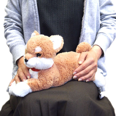 サンレモン　ひざわんこ 柴犬 BE  P-3052