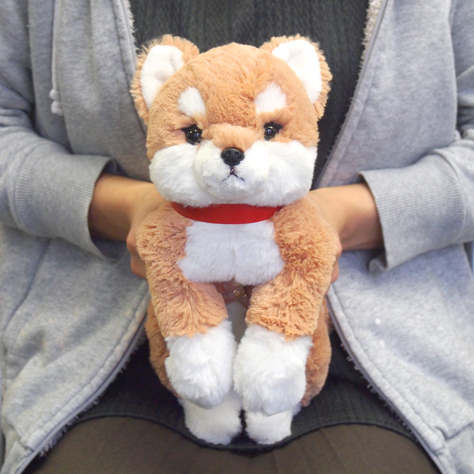 サンレモン　ひざわんこ 柴犬 BE  P-3052