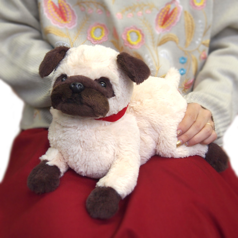 サンレモン　ひざわんこ パグ BE  P-4162