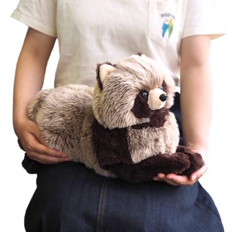 サンレモン　ひざたぬき M  P-6282