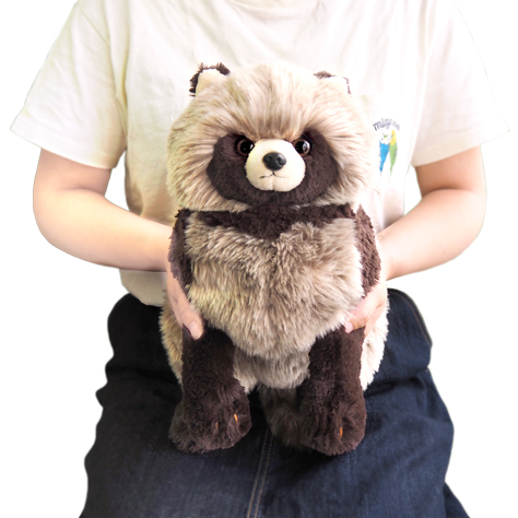 サンレモン　ひざたぬき M  P-6282